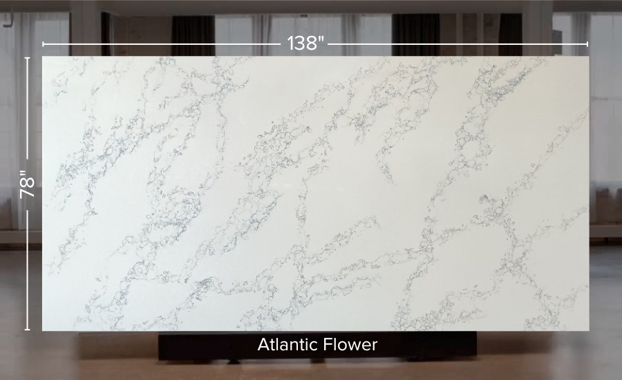 Atlantic Flower